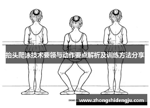 抬头爬泳技术要领与动作要点解析及训练方法分享